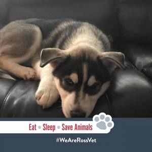 Meet your Posher, Courtney